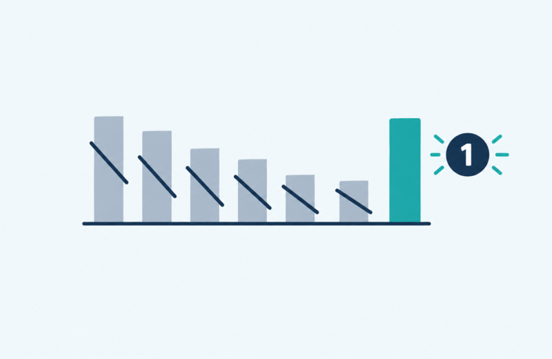 Illustration of a sparse coefficient vector with a count badge representing the L0 norm
