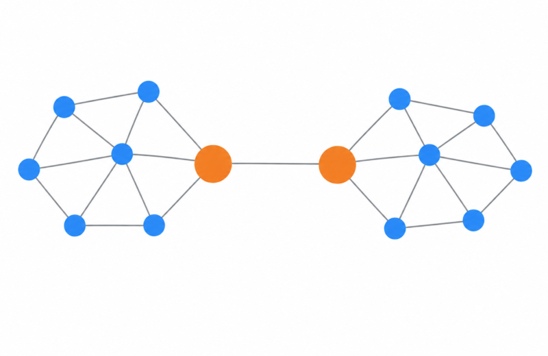 Network graph of two clusters of people joined by two highlighted bridge nodes.